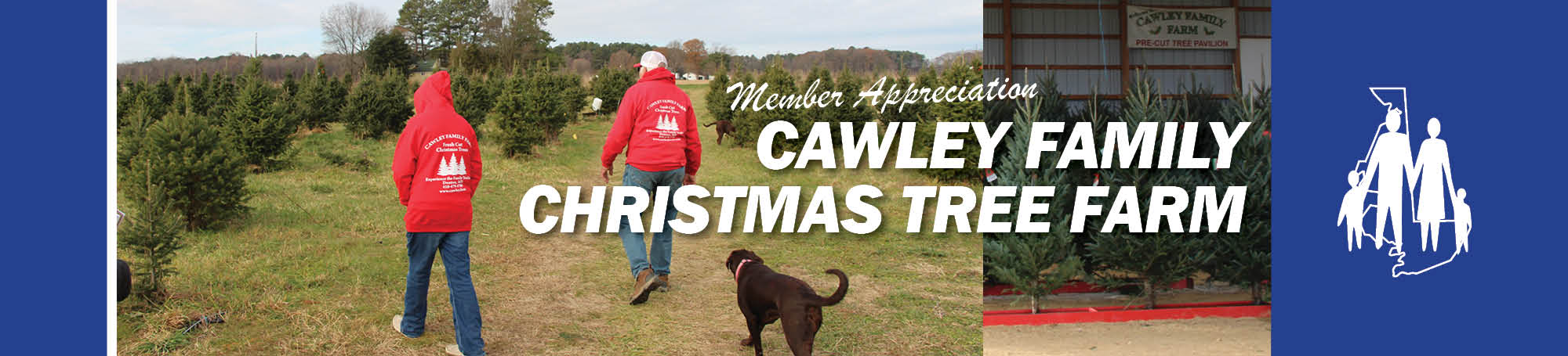 Tradition Runs Deep at Cawley Family Christmas Tree Farm