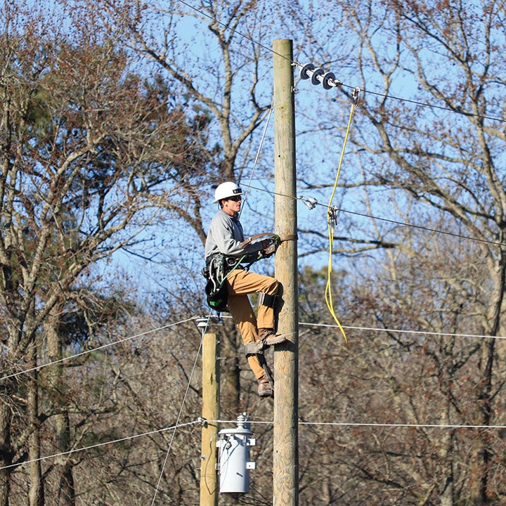 Graduate climbs powerline pole