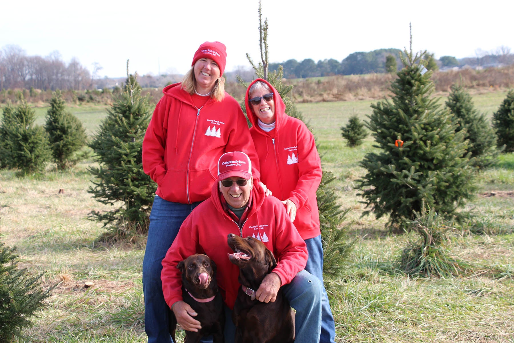 Cawley Farms Christmas Trees