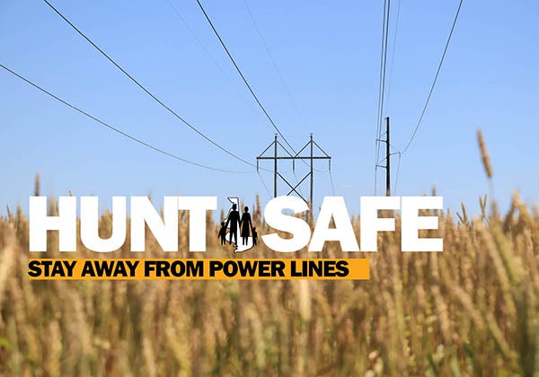 Choptank Electric Says Hunt Safe