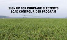 Save Money by Reducing Electric Use During Peak Periods