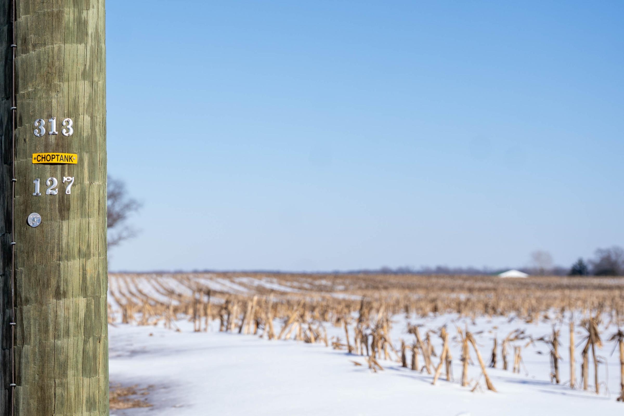 Chopotank Electric pole with field in background